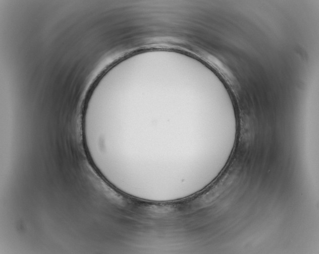 X0000111431384200908031322