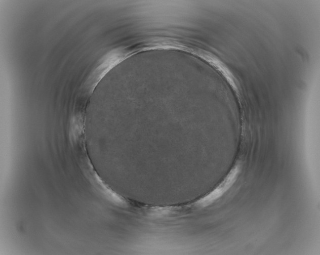 X0000111431385200908031322