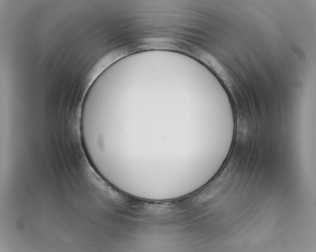 X0000111431386200908031322