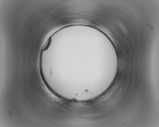 X0000111431387200908031322