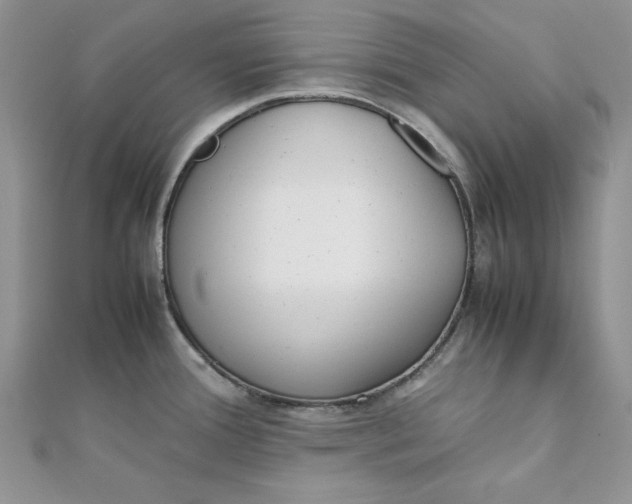 X0000111431388200908031322