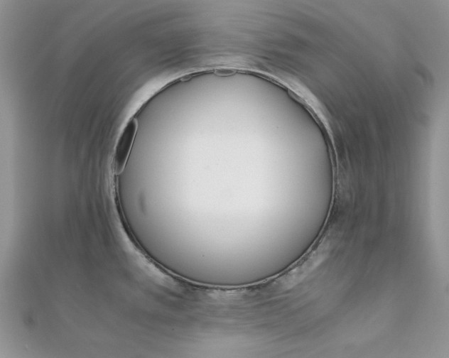 X0000111431389200908031322