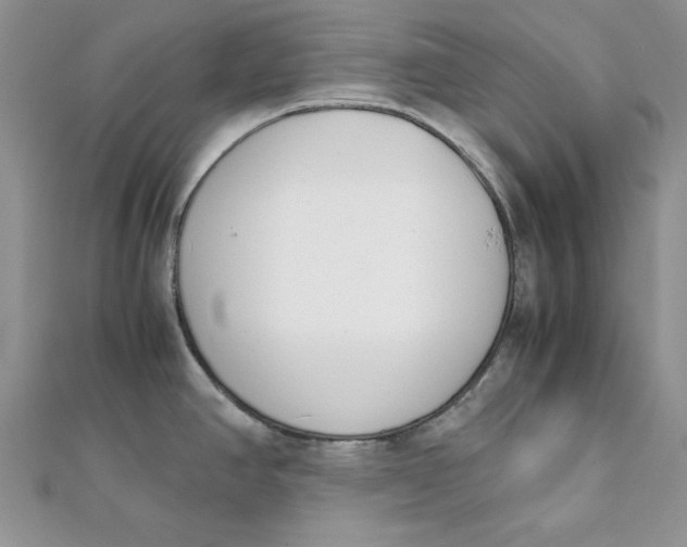 X0000111431390200908031322