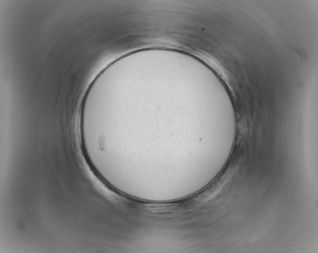 X0000111431391200908031322