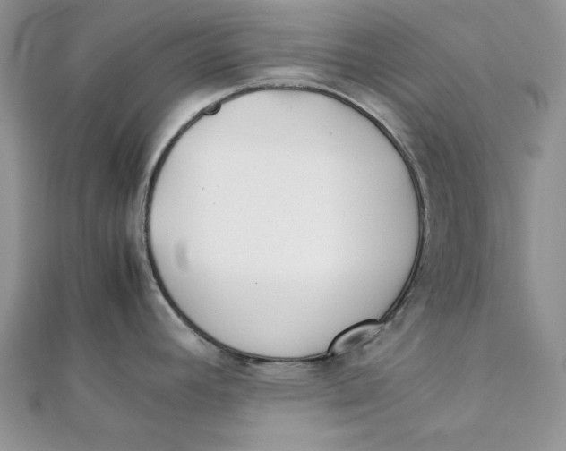 X0000111431392200908031322