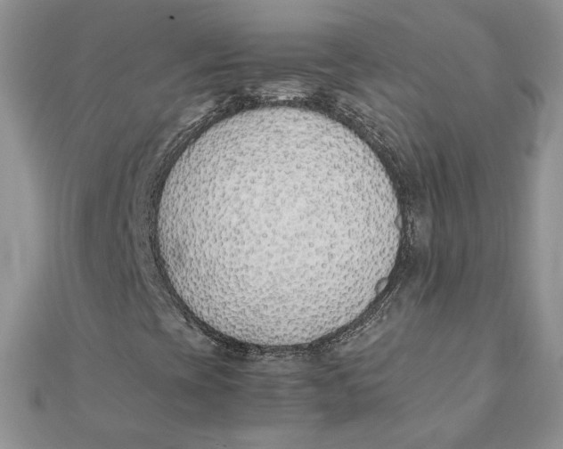 X0000111431393200908031321