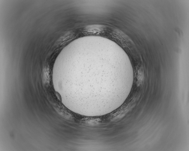 X0000111431394200908031321