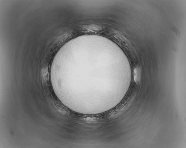 X0000111431395200908031321