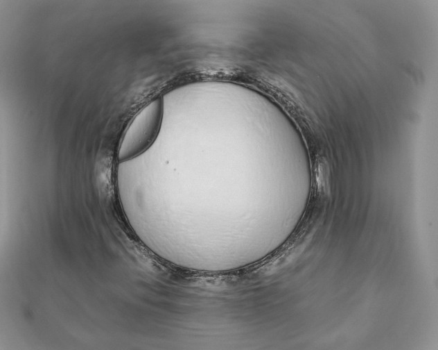 X0000111431396200908031321