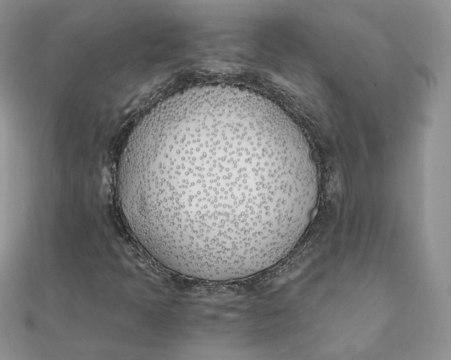 X0000111431397200908031321