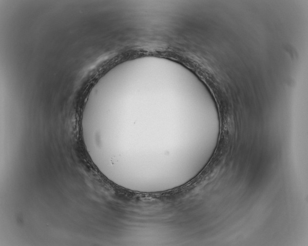 X0000111431398200908031321