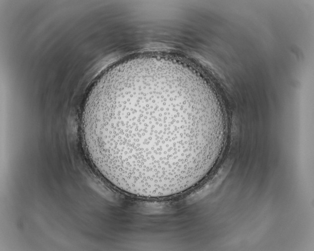 X0000111431401200908031321