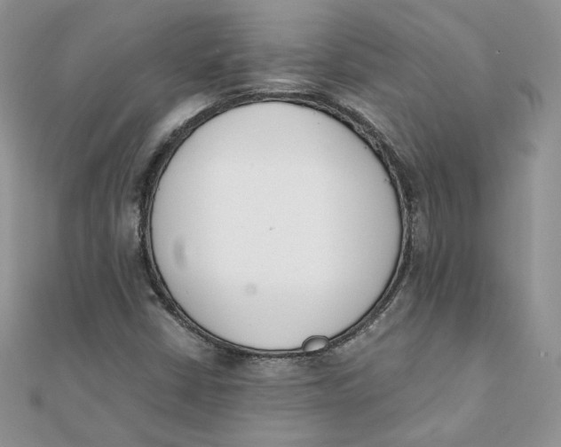 X0000111431402200908031321