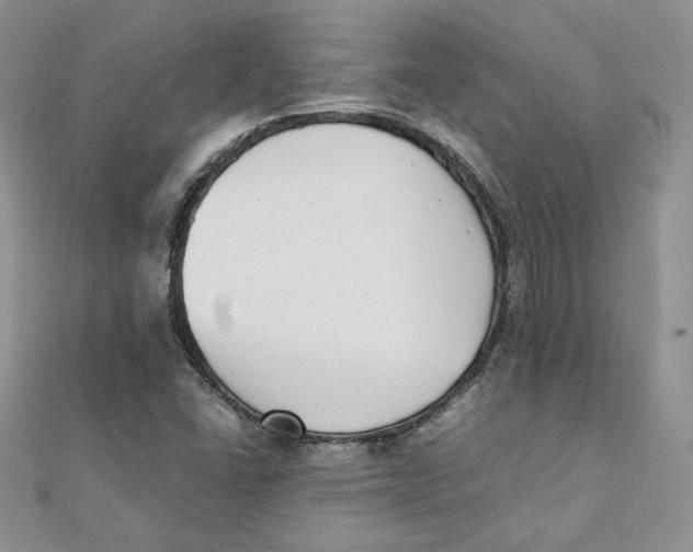 X0000111431406200908031322