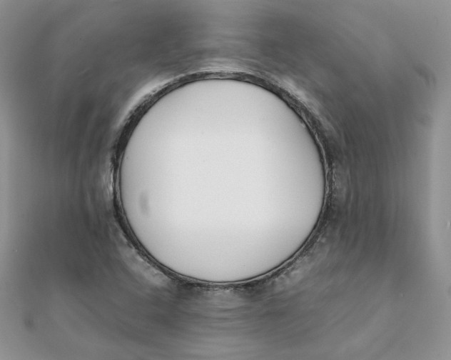 X0000111431408200908031322