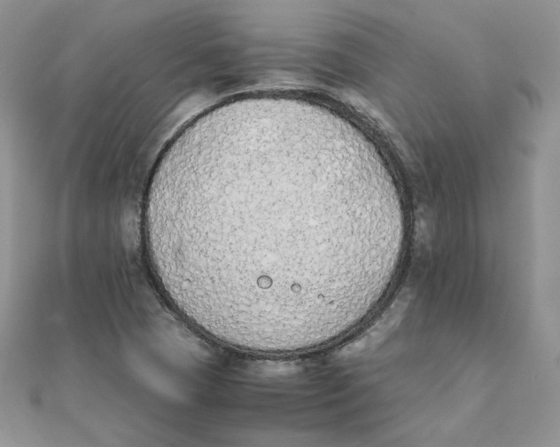 X0000111431409200908031322