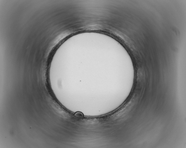 X0000111431410200908031322