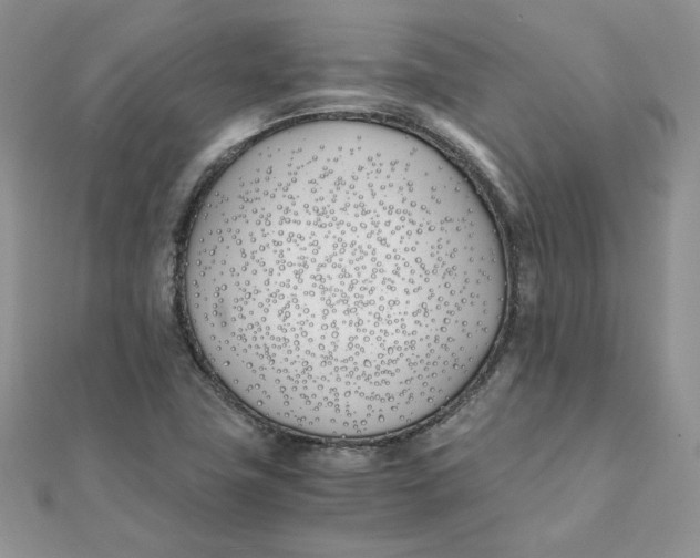 X0000111431411200908031322