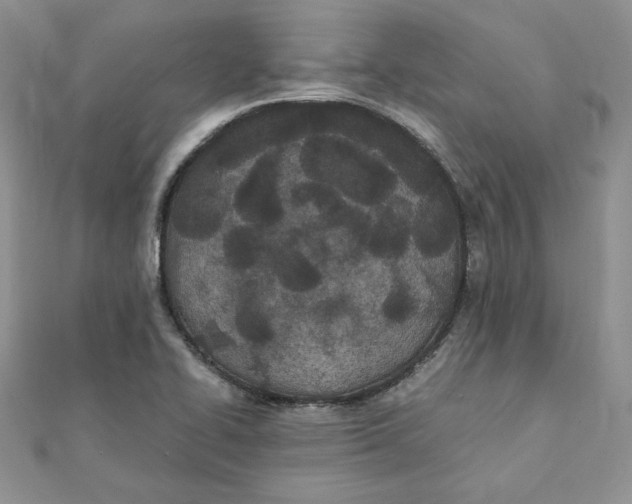 X0000111431414200908031322