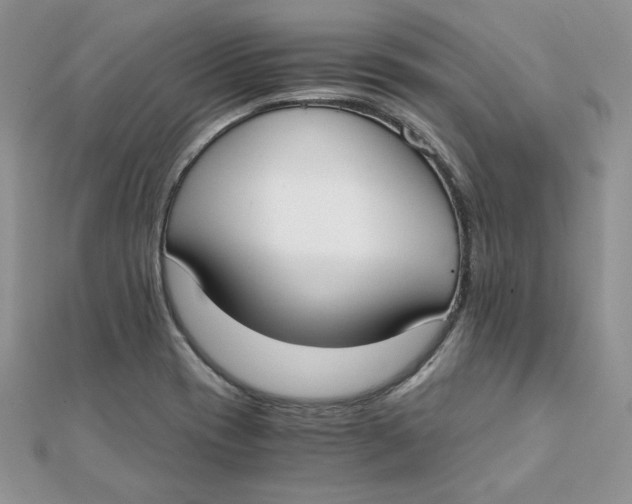 X0000111431417200908031322