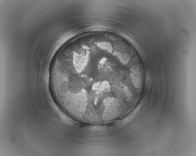 X0000111431418200908031322