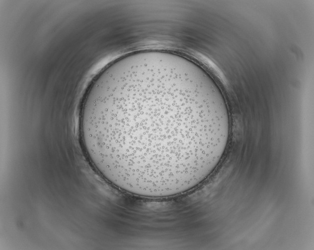 X0000111431419200908031322