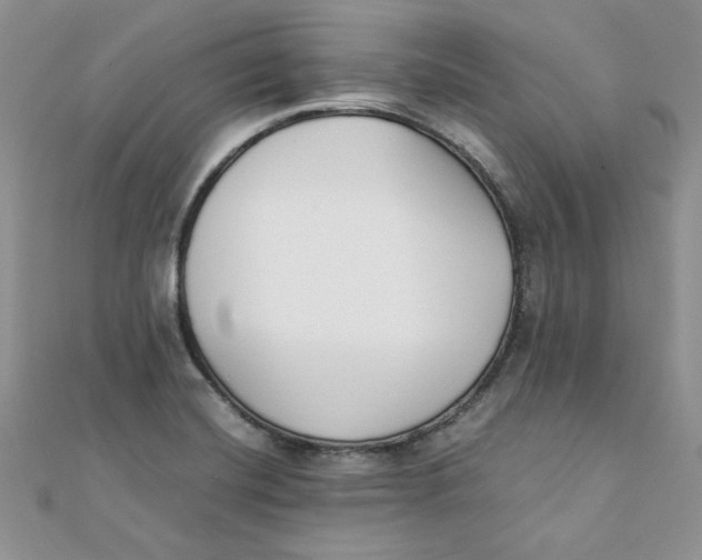 X0000111431420200908031322