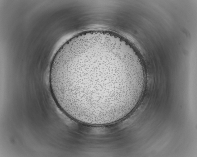 X0000111431421200908031322