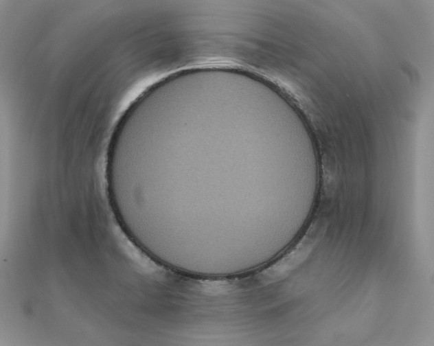 X0000111431422200908031322