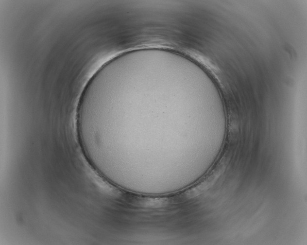 X0000111431423200908031322