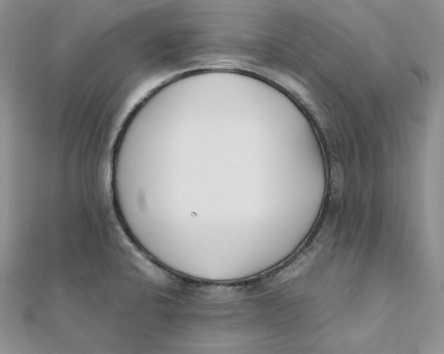 X0000111431424200908031322