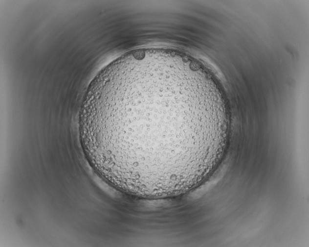 X0000111431425200908031322