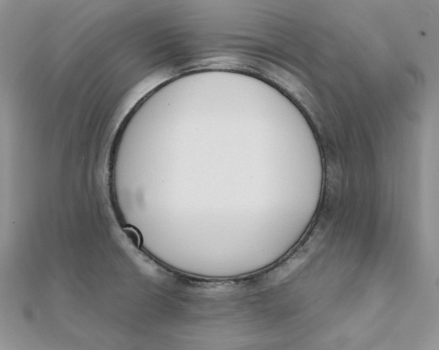 X0000111431426200908031322