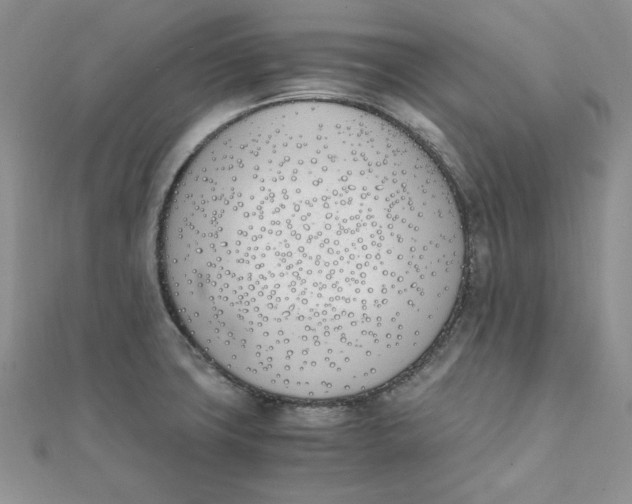 X0000111431427200908031322