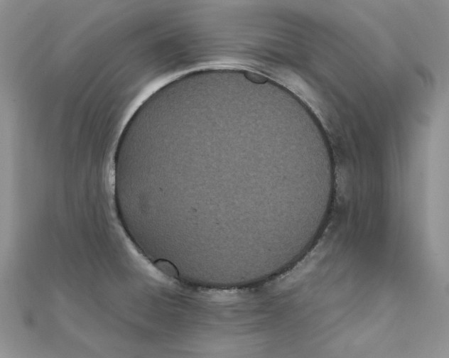 X0000111431428200908031322