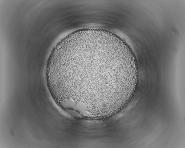 X0000111431429200908031322