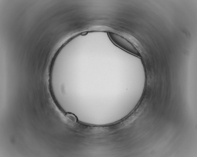 X0000111431430200908031322