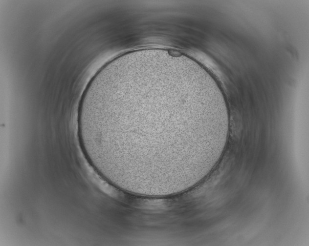 X0000111431431200908031322