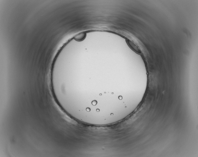 X0000111431432200908031322