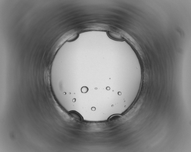 X0000111431433200908031322