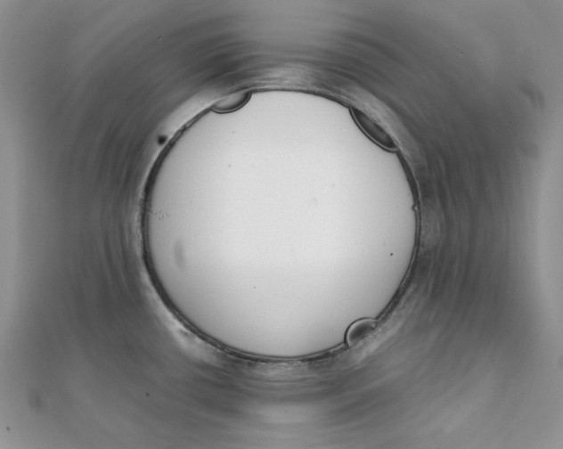 X0000111431434200908031322