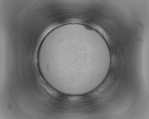 X0000111431435200908031322