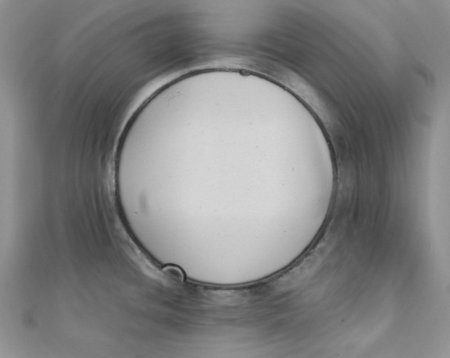 X0000111431436200908031322