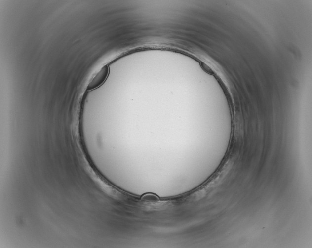 X0000111431437200908031322