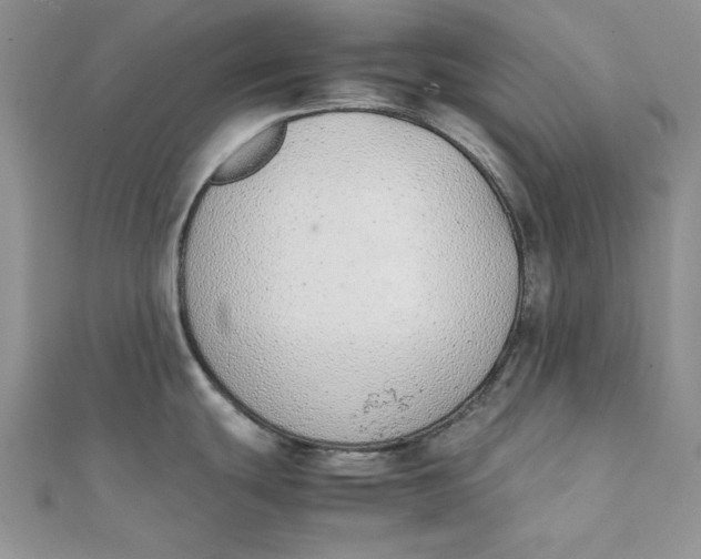 X0000111431439200908031322