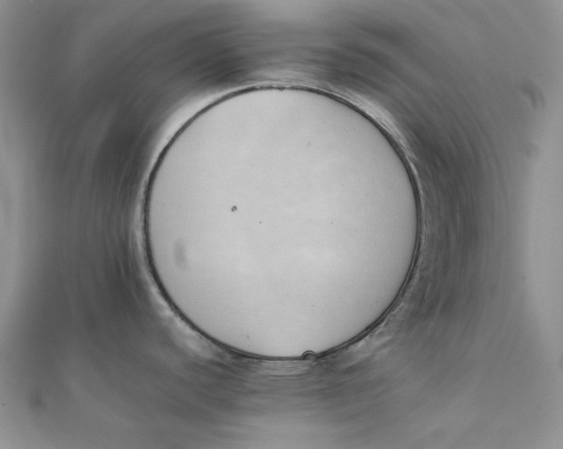 X0000111431440200908031322