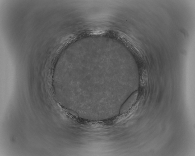 X0000111431441200908031321