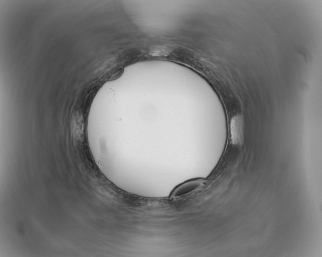 X0000111431443200908031321