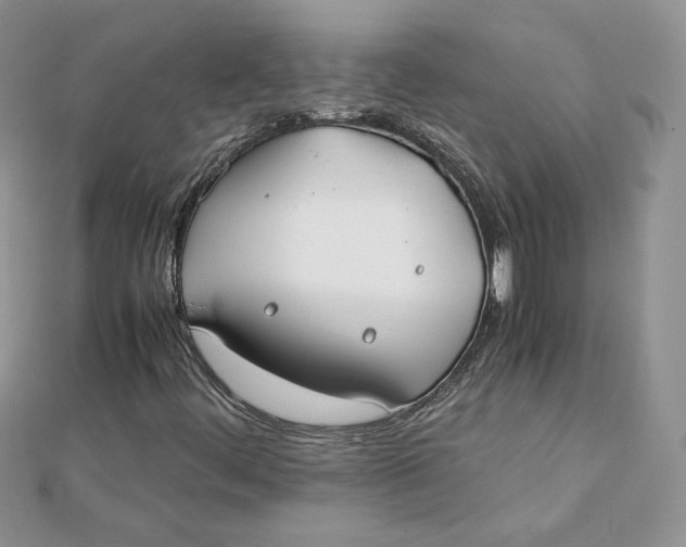 X0000111431444200908031321