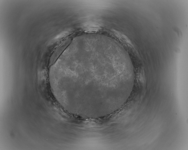 X0000111431445200908031321